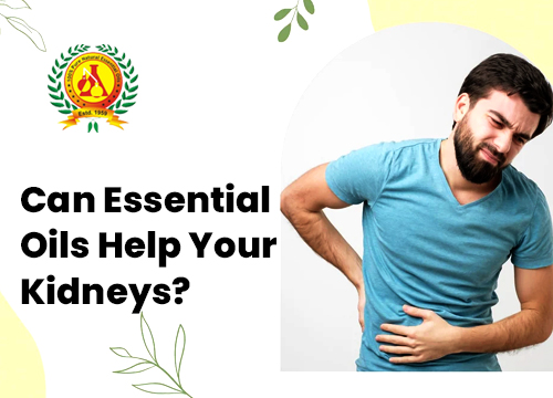 Can Essential Oils help your Kidney?