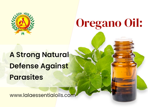 Oregano Oil: A Strong Natural Defense Against Parasites