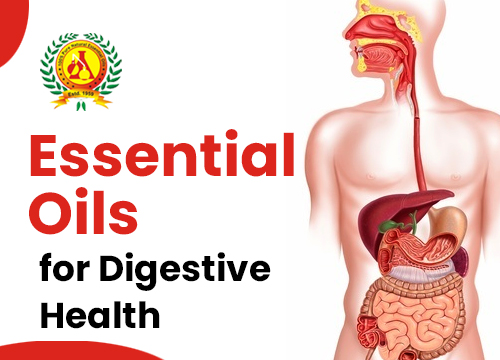 Essential Oils for Digestive Health