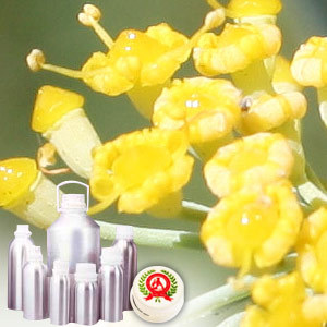 Fennel Sweet oil - Certified Organic