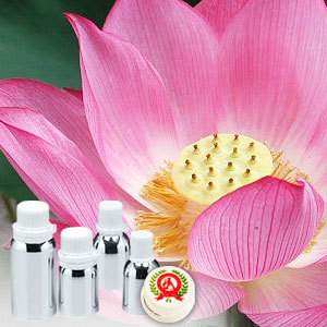 Lotus (Pink) Absolute Oil