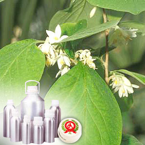 Styrax Benzoin Oil (Sumatra)
